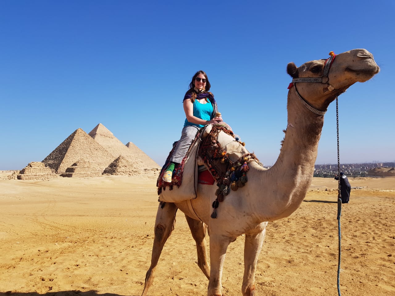 CNEgypt82