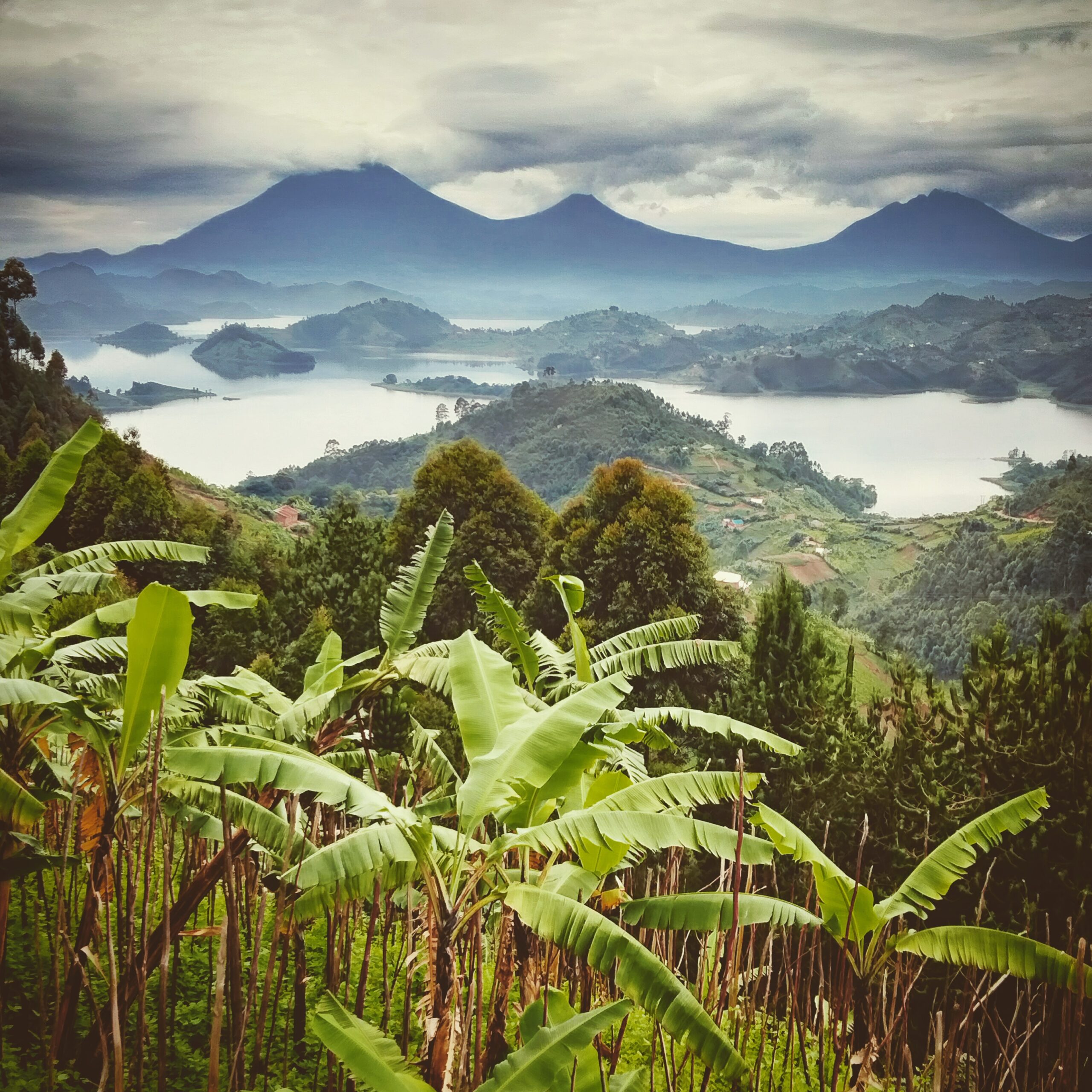 CNUganda92